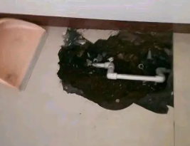 安康市卫生间测漏水多少钱